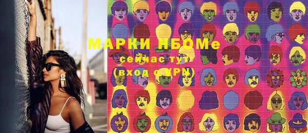 дмт Болотное
