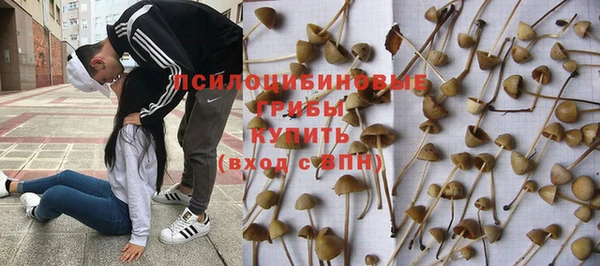 стаф Лихославль