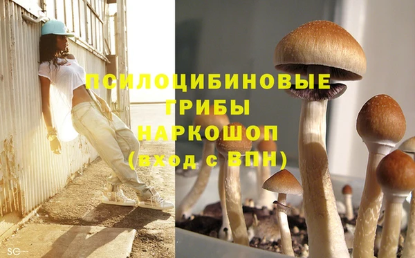 дмт Болотное